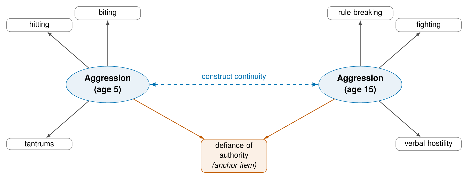Heterotypic continuity: a continuous construct measured by age-specific indicators, linked by an anchor item.